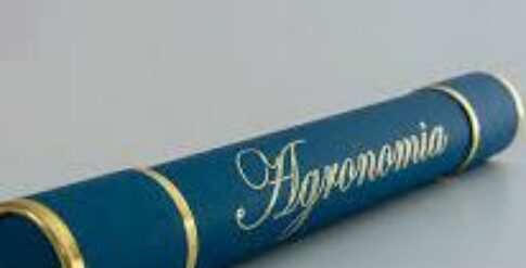 diploma