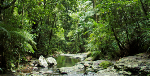 meio-ambiente–banco-de-imagem